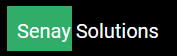 Senay Solutions Logo